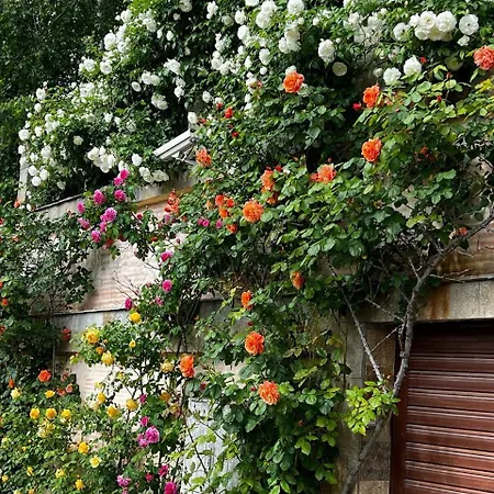 Tavra דירה סאני ביץ'